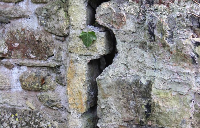 Buying a House with Subsidence: Should You Risk It?