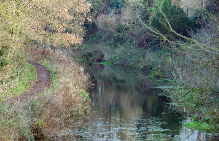 Basingstoke Canal and towpath at Greywell, UK⁠